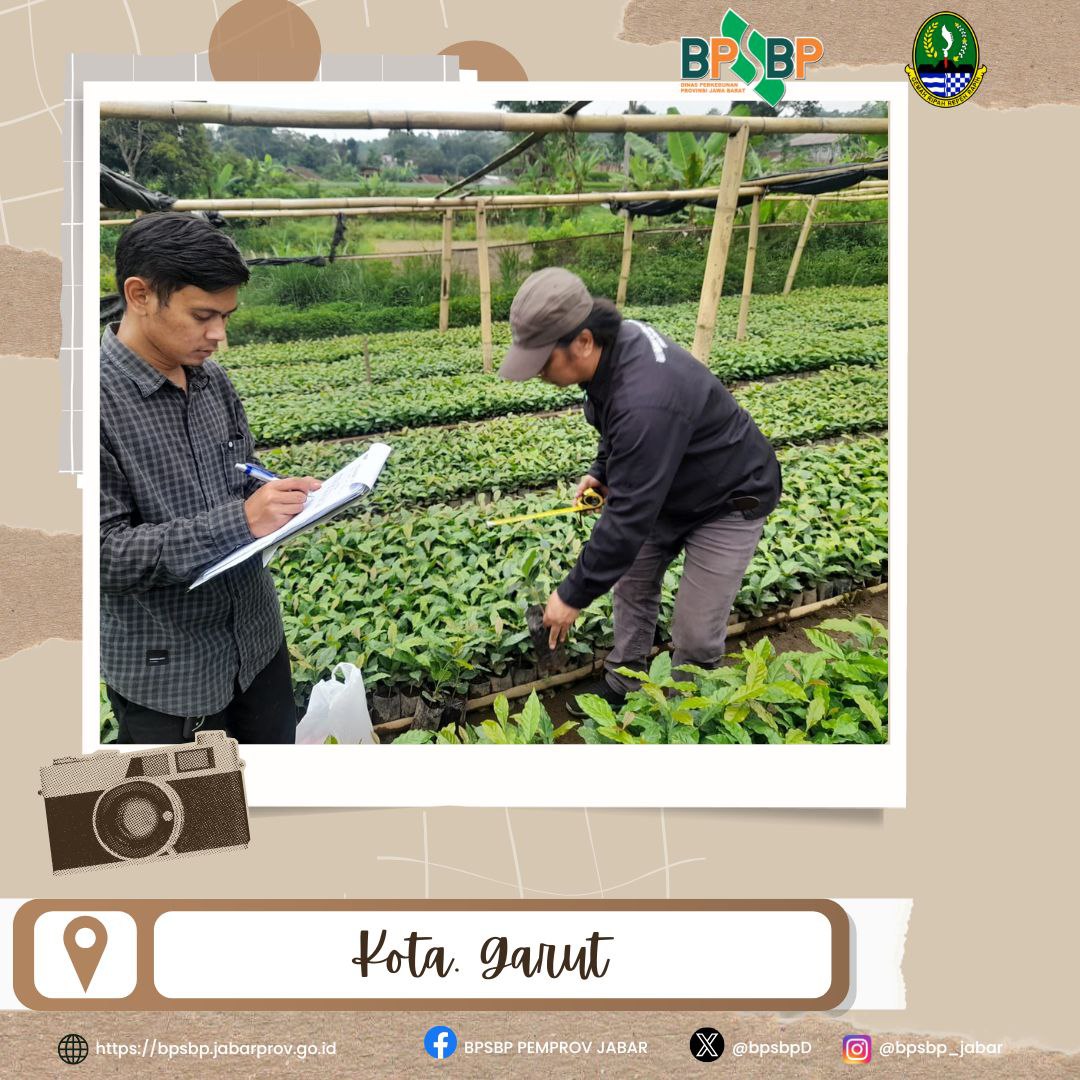 Selamat Pagi #wargibun

 Sertifikasi Benih Kopi Arabika Varietas S-795 di Kabupaten Garut! 

BPSBP melaksanakan sertifikasi benih kopi Arabika varietas S-795 di wilayah Cilawu, Kabupaten Garut.