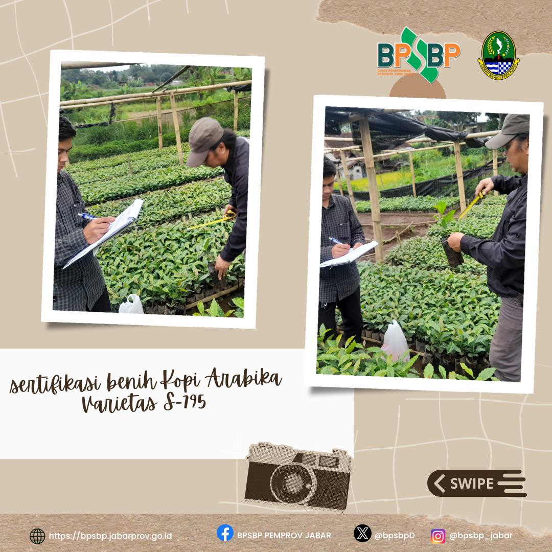 BPSBP.DisbunJabar tweet media