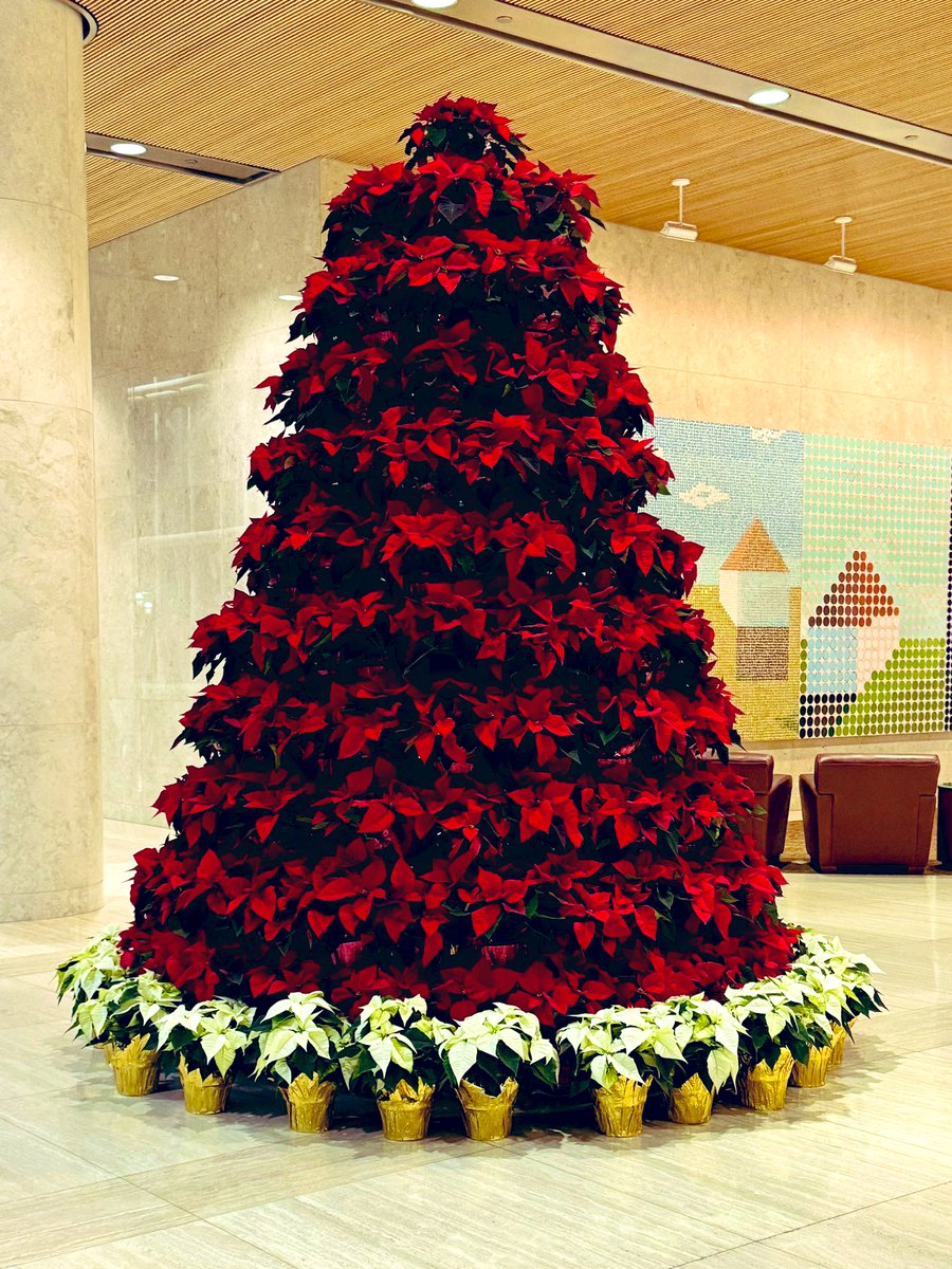 AmyOxentenkoMD's tweet photo. I always ❤️seeing this during the holiday season in the Gonda Lobby at @MayoClinic!
#MayoMagic https://t.co/VuWrbnE1p5
