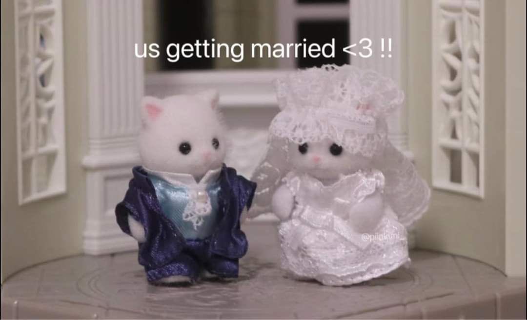 whotfisjovana's tweet image. ︎ ︎ ︎ ︎ ︎ ︎ ︎ ︎ ︎ ︎ ︎ ︎ ︎ ︎ ︎ ︎ ︎ ︎ ︎ ︎ ︎ ︎ ︎ ︎ ︎ ︎ ︎ ︎ ︎ ︎ ︎ ︎ ︎ ︎ ︎ ︎ ︎