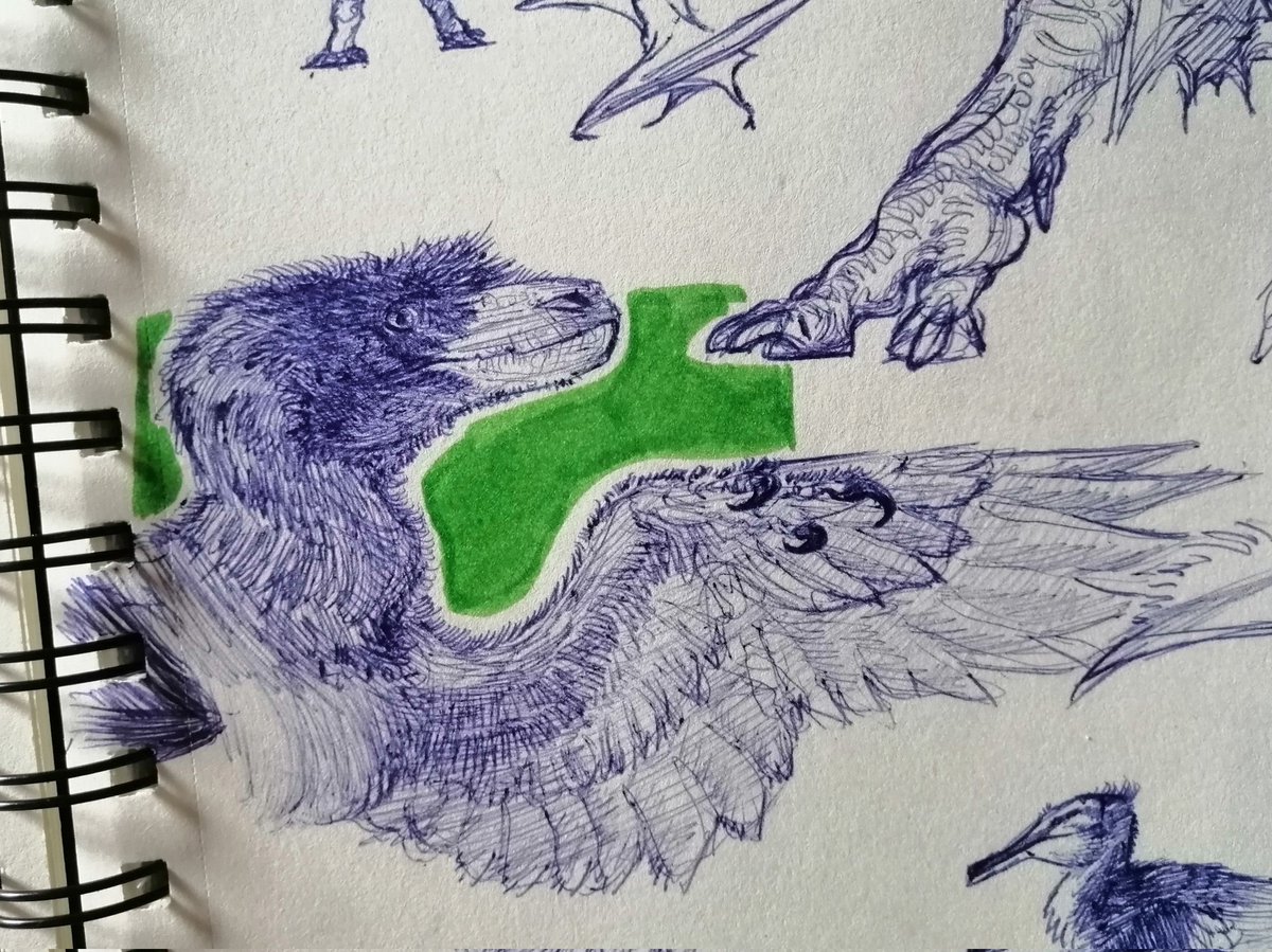 Raptor from today class.