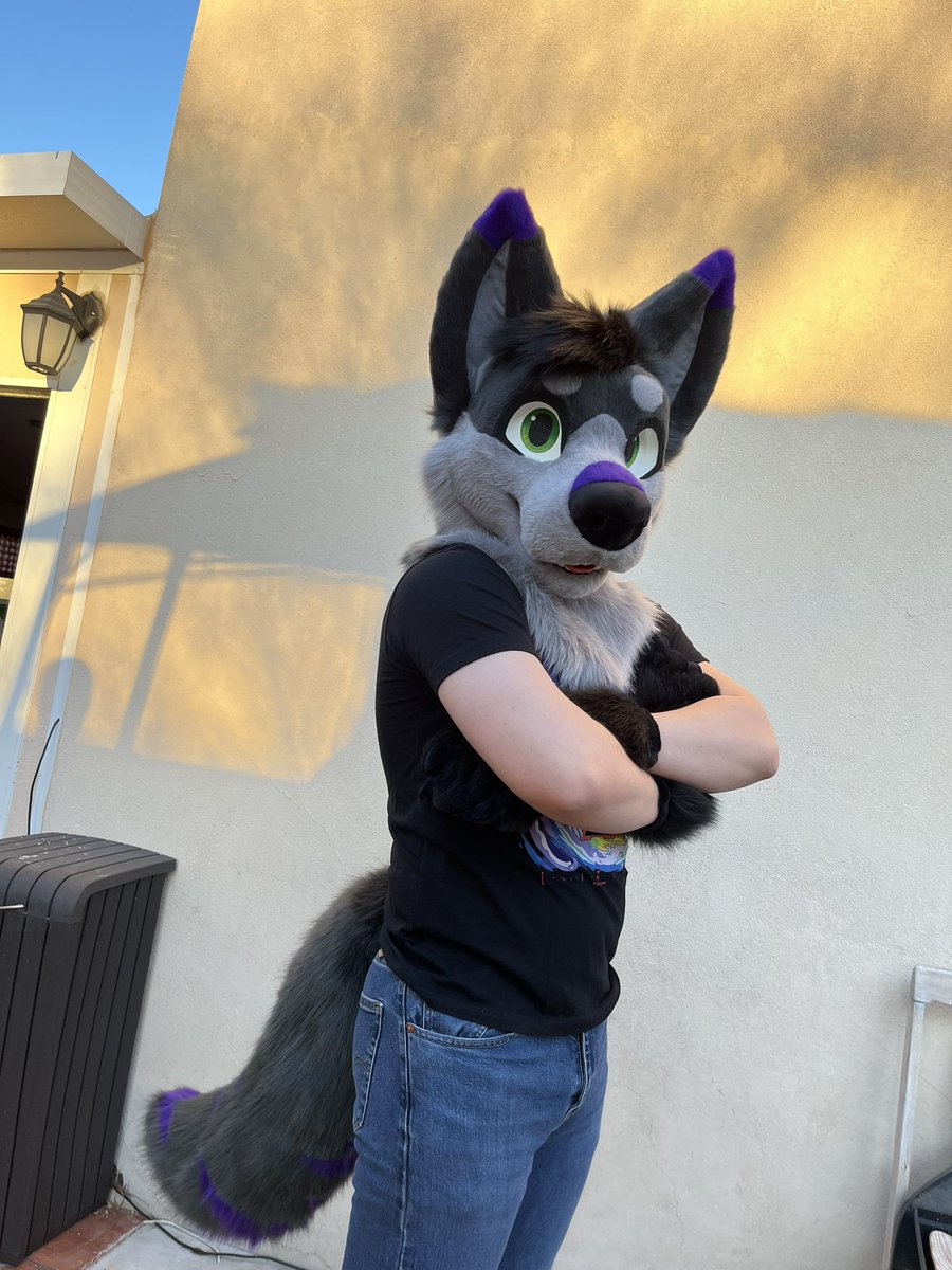 AngelLunaStudio's tweet photo. Hey! Know I haven’t posted in a hot second (I’m more active else where!!) but I bring you a new angellunastudios family member! A wolftiger was a new species for me but I think it came out great! :D 
#furry #fursuit #fursuitmaker https://t.co/DXcQVFjqWo