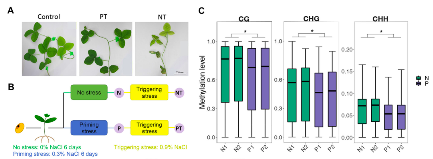 Plant Cell & Environment tweet media