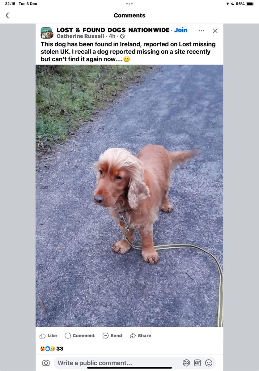 rosieDoc2 tweet picture
