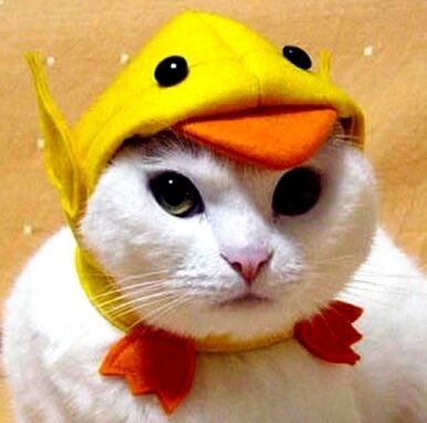 usb_ink's tweet image. Great stuff happening. Lot of anxiety for stepping up. Lots of mony and time investment for one decision. #growinapair #makingstuff #suffonthemake