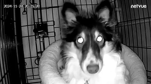 😵‍💫😵‍💫😵‍💫
Stare into her eyes.. stare deeply

you find yourself.. hypnotized.. 
you feel the urge to check below 

go...
go forth... 
rediscover the worm...