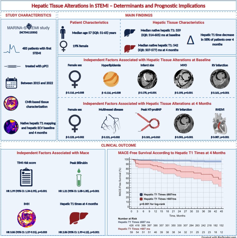 CircImaging (@circimaging) on Twitter photo Did you know that Hepatic tissue alterations post-STEMI are linked to cardiac damage and worse outcomes? CMR-derived "hepatic" T1 mapping could help identify high-risk patients for better care <a href="/lechner_i/">Ivan Lechner</a> <a href="/ReinstadlerSJ/">Sebastian J Reinstadler</a> @imed_tweets #AHAJournals ahajrnls.org/4fWoXaq Did you know that Hepatic tissue alterations post-STEMI are linked to cardiac damage and worse outcomes? CMR-derived "hepatic" T1 mapping could help identify high-risk patients for better care <a href="/lechner_i/">Ivan Lechner</a> <a href="/ReinstadlerSJ/">Sebastian J Reinstadler</a> @imed_tweets #AHAJournals ahajrnls.org/4fWoXaq