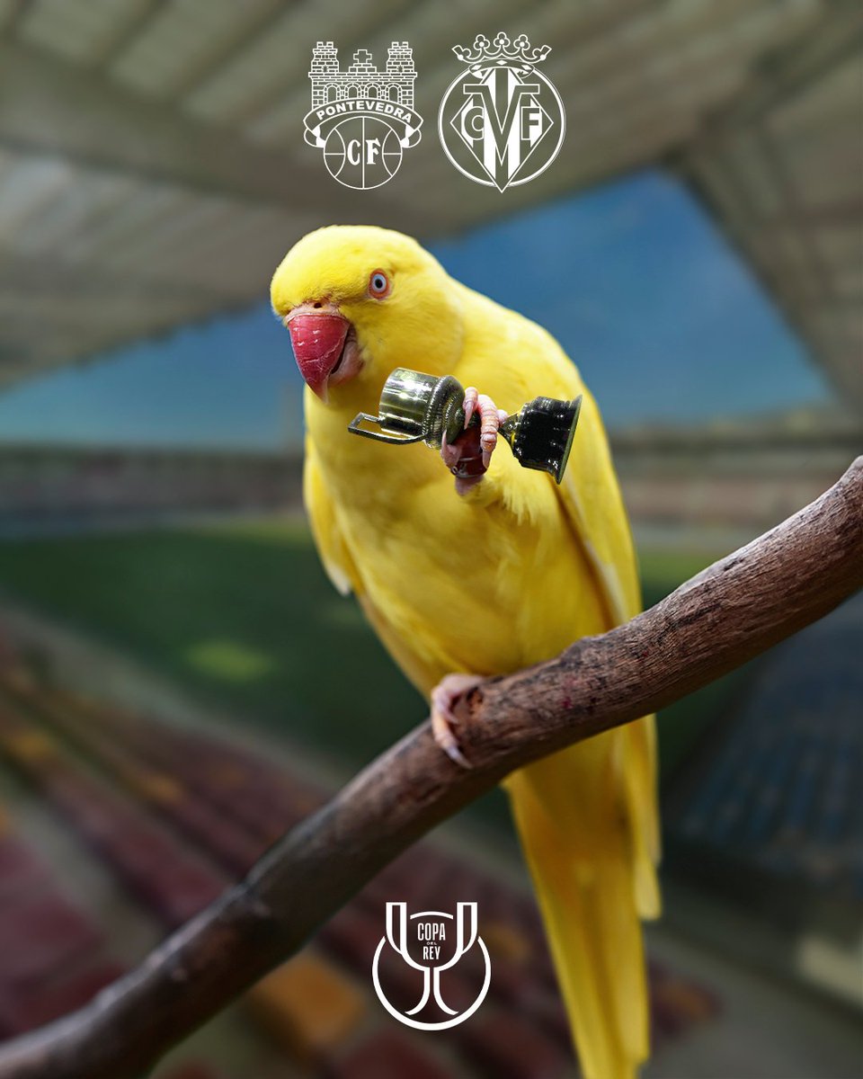 Villarreal CF tweet media
