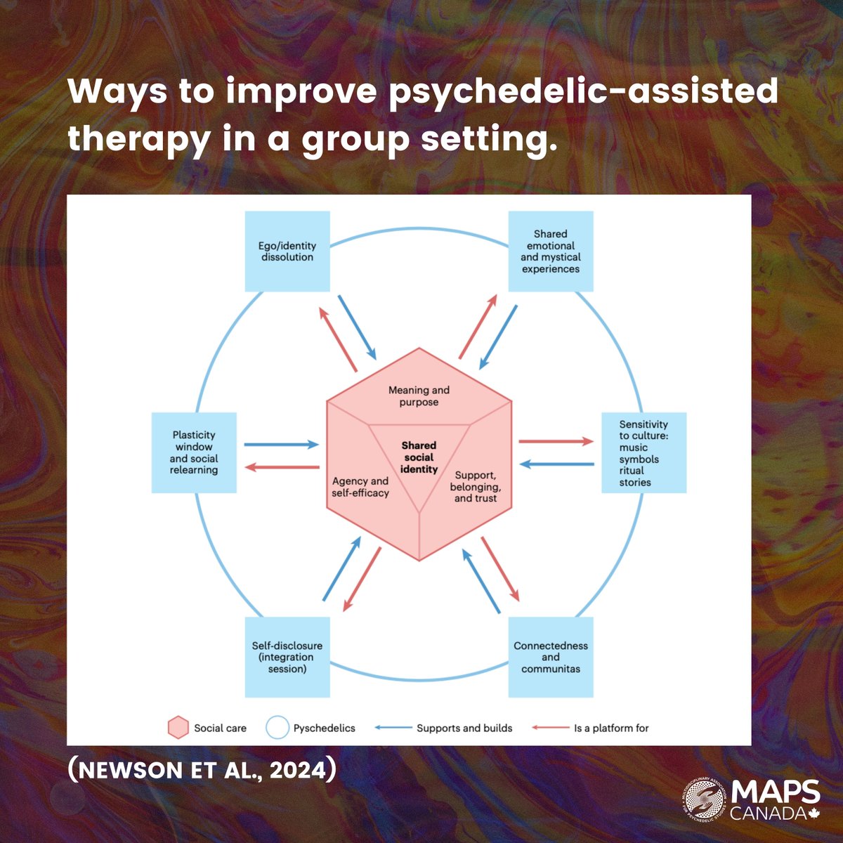 How can psychedelics + group therapy enhance mental well-being? 🌱🧠  Dr. Martha Newson (@ChangingLivesLab, Oxford) explores this in Nature Mental Health, showing the power of connection via the Social Cure Theory. Read more: DOI:10.1038/s44220-024-00302-5