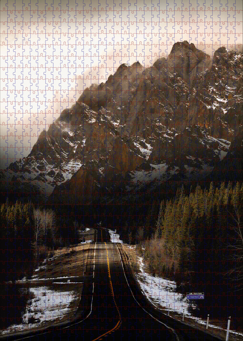 RandyMilanovic tweet media