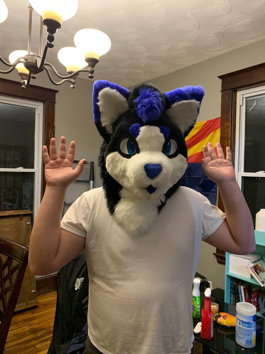 oLordyo's tweet photo. My fursuit is done :3! 
Big thanks to @DeerCraftsSuits for working to sew it together and MousetoothCreations (on Etsy) for base and eyes. https://t.co/iQw5s2CbGw