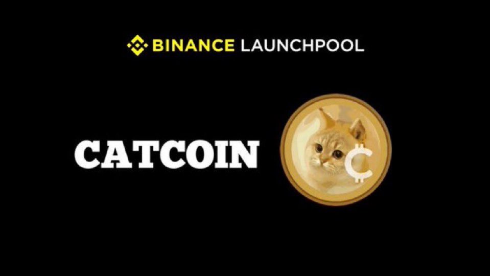 GemsCats's tweet photo. Bro, make a campaign. For listing on the exchange. Let's send money to that wallet. You list yourself on the exchange. @catcoin $cat #catcoin https://t.co/idOhf5pMHS