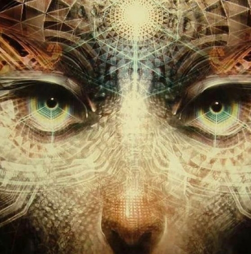 James_Hawke1's tweet image. 𝙏𝙝𝙚𝙮* have mastered the &quot;occult mystery knowledge&quot; of talking about a concept so long and hard you begin to manifest it and then maintain it.

*&apos;They&apos; are all the institutions of belief 
#BoldThoughts