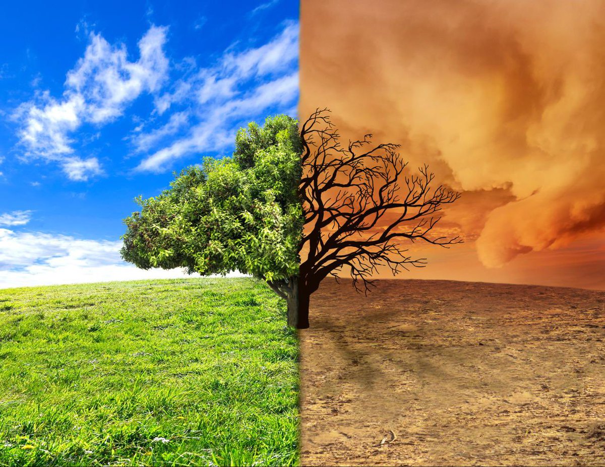 “Argentina y su posición frente al cambio climático”. ✍🏻 Te invitamos a leer nuestro artículo. cepec.ar/argentina-y-su…