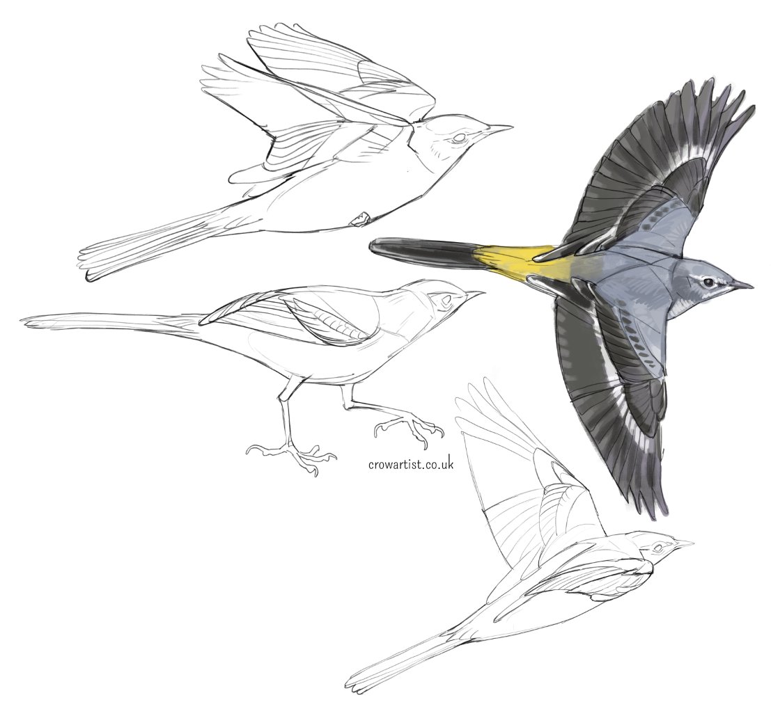 I get asked a lot if I use reference photos. I do most of the time, I take my own pictures and they usually end up blurred - but they can still be worked with!