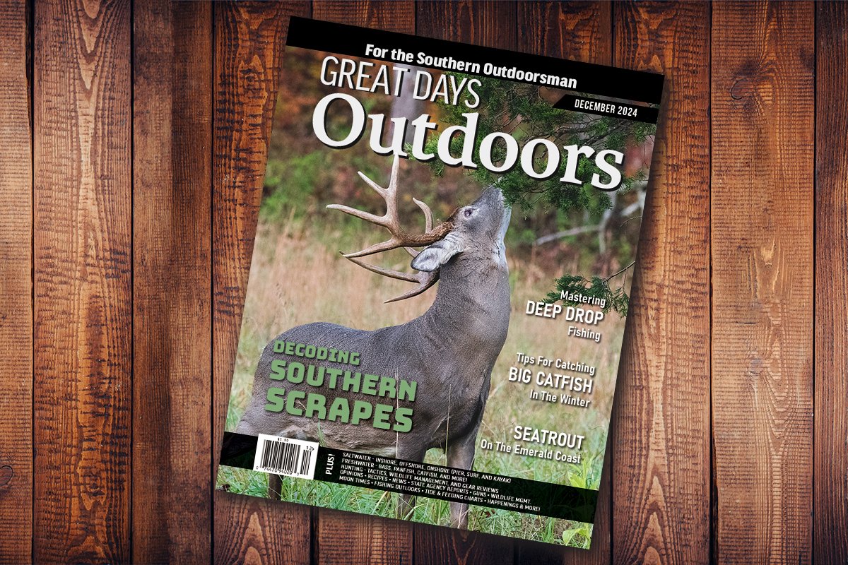 Our December issue is available now! This month, we talk scrape hunting in the South, examine how to master the art of deep drop fishing, provide tips for catching big catfish during the winter, and much more!

#hunting #fishing #greatdaysoutdoors