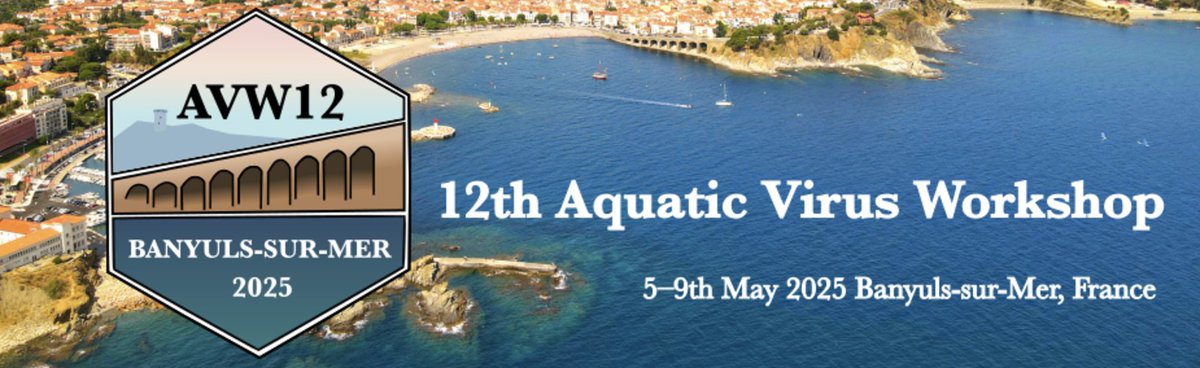 For those working on viruses in aquatic environments, mark your calendars and consider submitting an abstract for Aquatic Virus Workshop 12 (AVW12) to be held in Banyuls-sur-Mer, May 5-9, 2025. 

Limited to 125 in total (register early).

avw12.sciencesconf.org