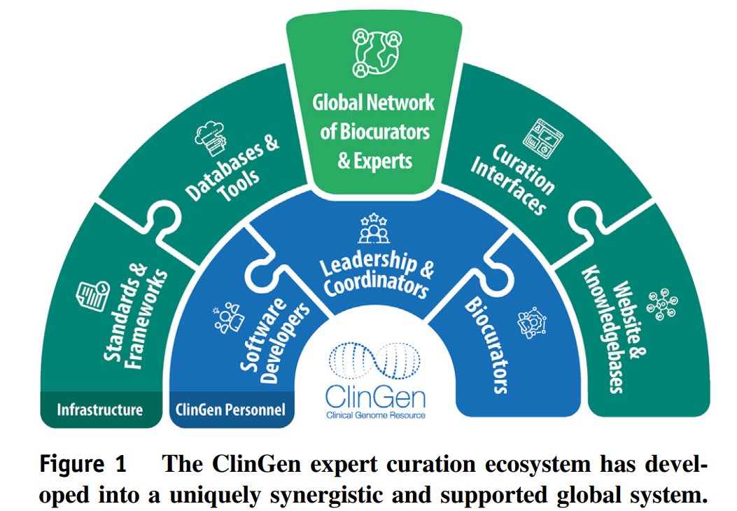 Genetics in Medicine (@gimjournal) on Twitter photo The #ClinGen expert curation ecosystem enables the global dissemination of evidence-based #genomics support resources bit.ly/3Vg9Hgj #clincalgenetics #datasharing <a href="/splon/">Sharon Plon</a> <a href="/HeidiRehm/">Heidi Rehm</a> <a href="/ClinGenResource/">ClinGen</a> The #ClinGen expert curation ecosystem enables the global dissemination of evidence-based #genomics support resources bit.ly/3Vg9Hgj #clincalgenetics #datasharing <a href="/splon/">Sharon Plon</a> <a href="/HeidiRehm/">Heidi Rehm</a> <a href="/ClinGenResource/">ClinGen</a>