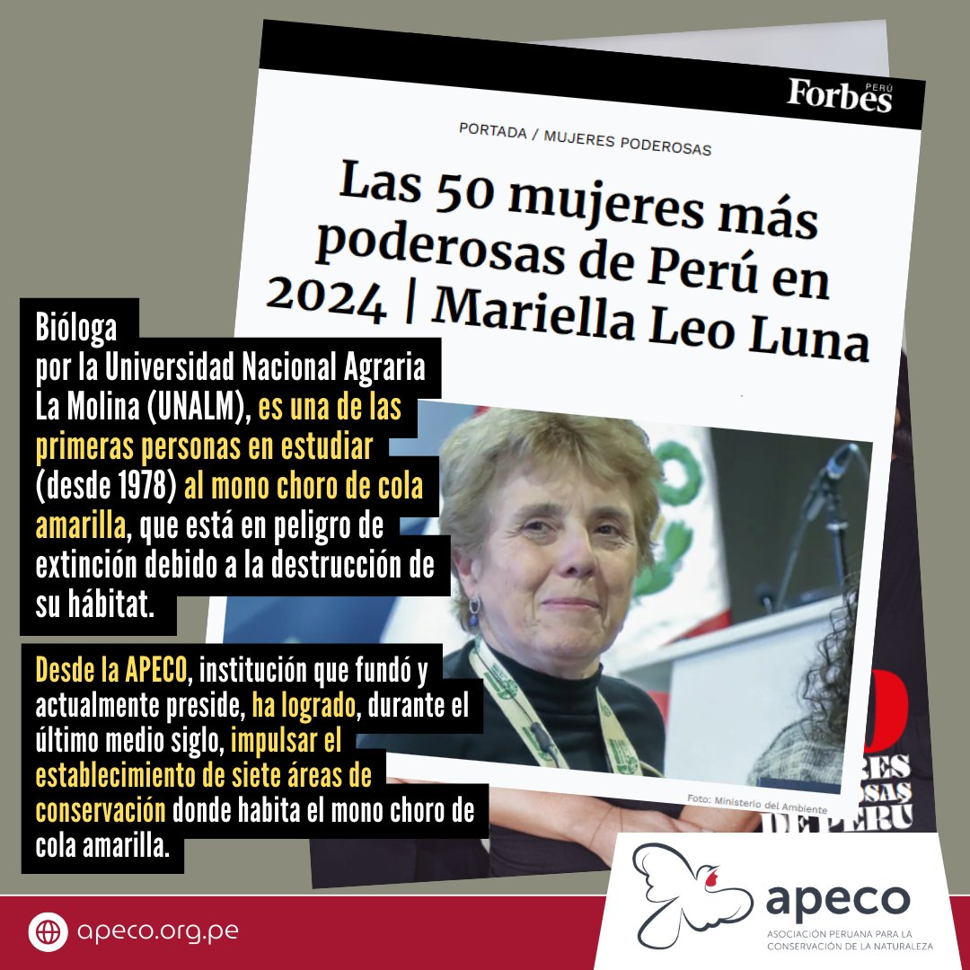 apecoperu's tweet photo. 📣 Celebramos que nuestra presidenta, fue elegida por la revista #Forbes Perú, como una de las 50 mujeres más poderosas del Perú 📰 🙌💧🌳
📰https://t.co/1UfjlBCOXC https://t.co/BjbR1ThTAK