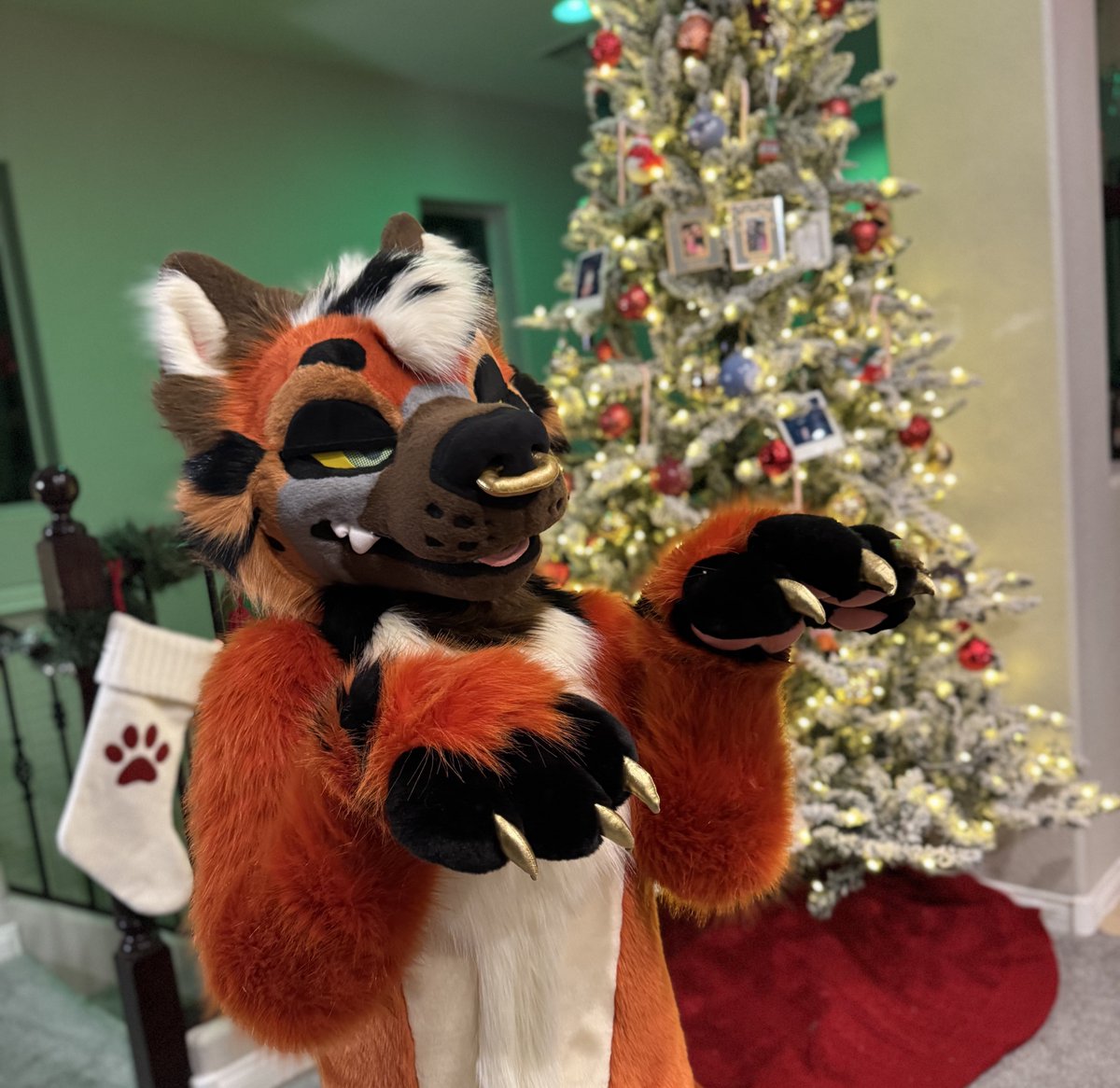 Presents? For me? :3 

📸: <a href="/ZeppelinCoyote/">Zepp</a>