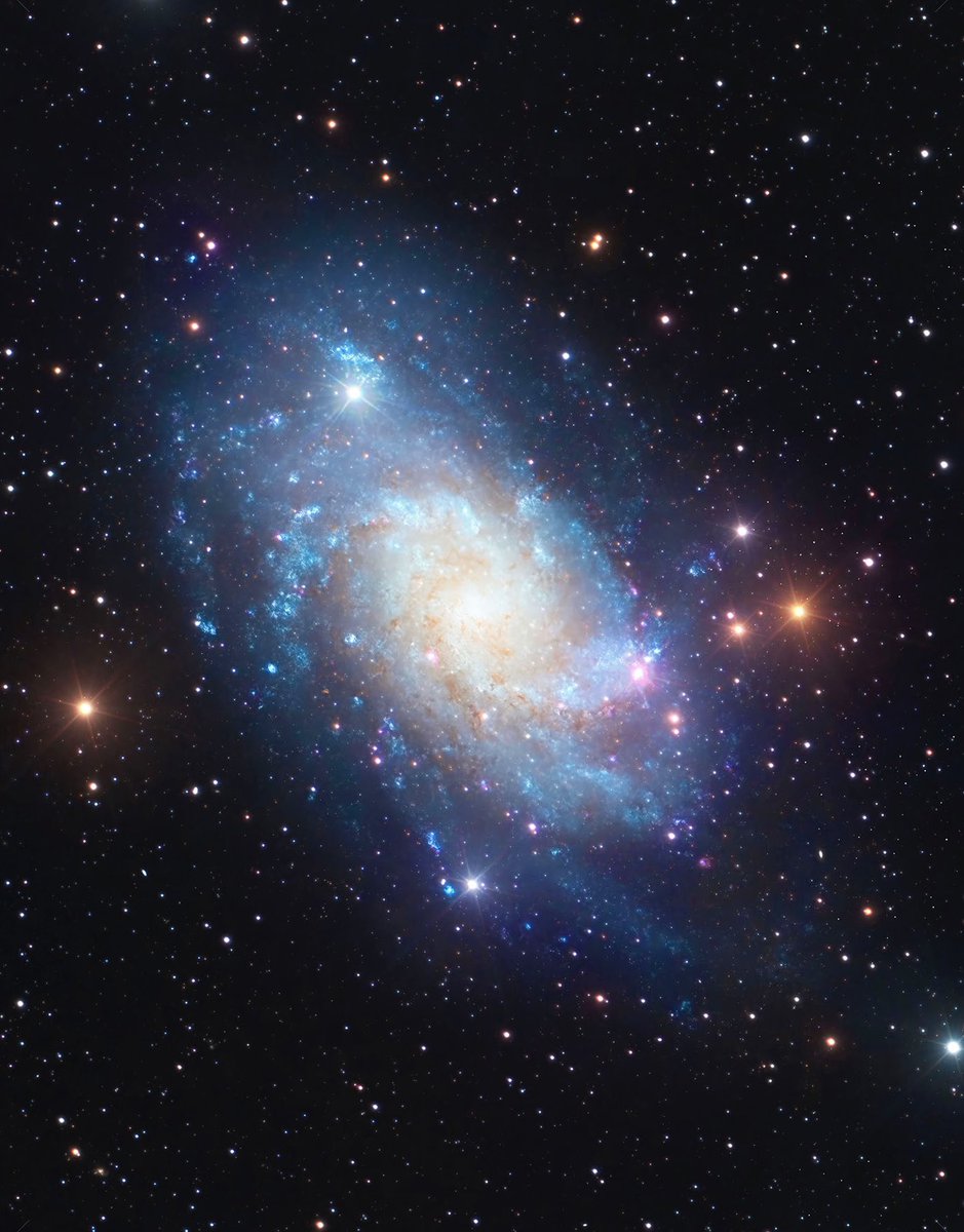 Cathrin Machin Space Art tweet media