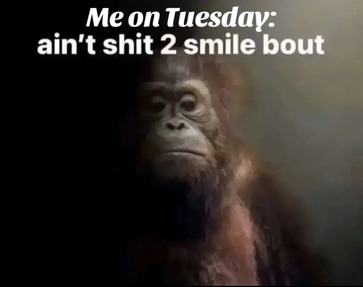 SavinTheBees's tweet photo. Fuck.

I’m still alive. https://t.co/S2Ma0bibqN