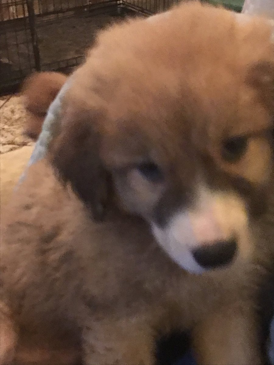 Tanstaafl tweet media