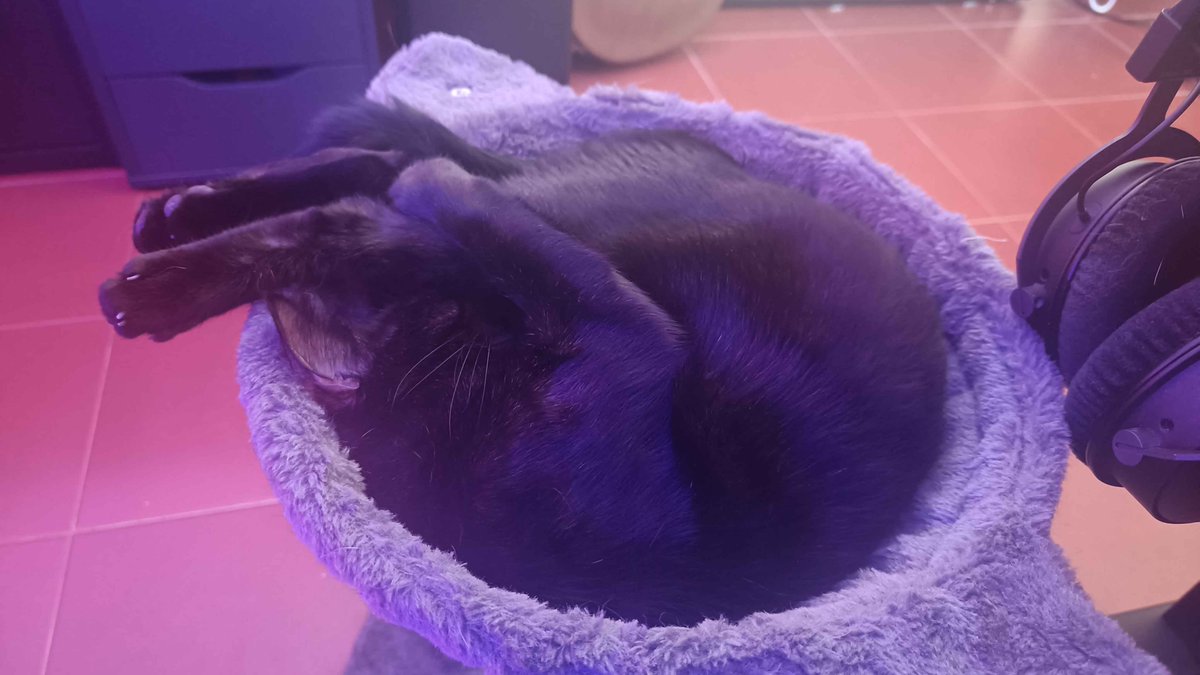 MetalManGG's tweet image. 🍤