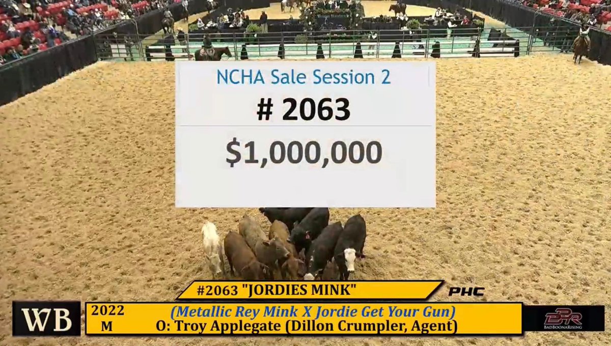 Screaming from the rooftops how dang proud I am of Shane and Colter for making this mare. 

Million Dollar Mink 🌟💰