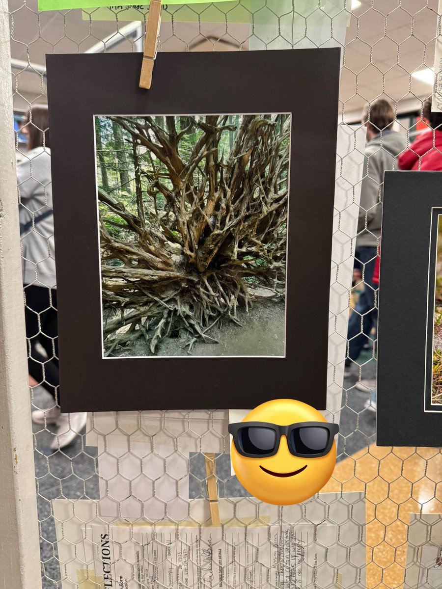 Holt Crossing IS (@hcis_rockets) on Twitter photo Some great artwork on display at the SWCSD PTA Reflections Art Show! Great job Carina C! <a href="/SWCSD/">South Western City Schools</a> Some great artwork on display at the SWCSD PTA Reflections Art Show! Great job Carina C! <a href="/SWCSD/">South Western City Schools</a>