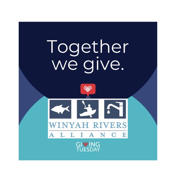 Give for clean water today!💙 
winyahrivers.org

#Riverkeepers #winyahrivers #givingtuesday #nonprofit #conservation #cleanwaterforall #GivingTuesday2024