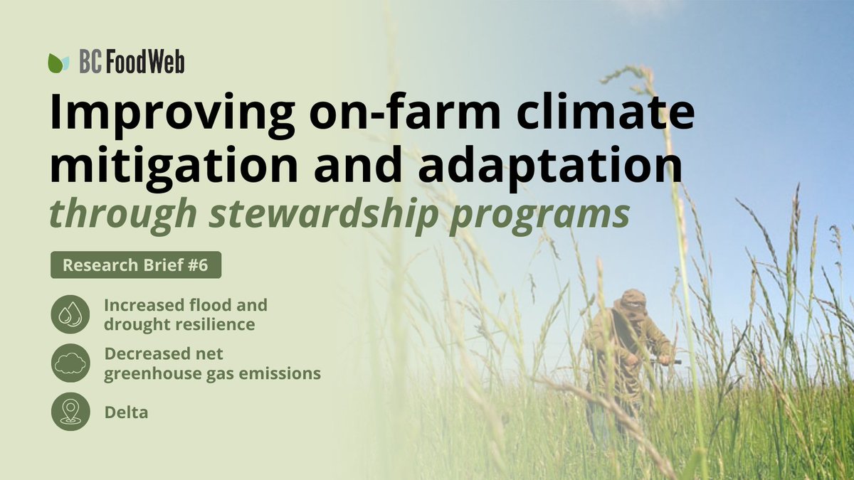 A study conducted in Delta, BC found that enrolment in agricultural stewardship programs can improve on-farm climate mitigation &amp; adaptation. Benefits include increased soil organic carbon stocks by 60-70% and enhanced soil water regulation🌾
Read summary: bcfoodweb.ca/briefs/improvi…