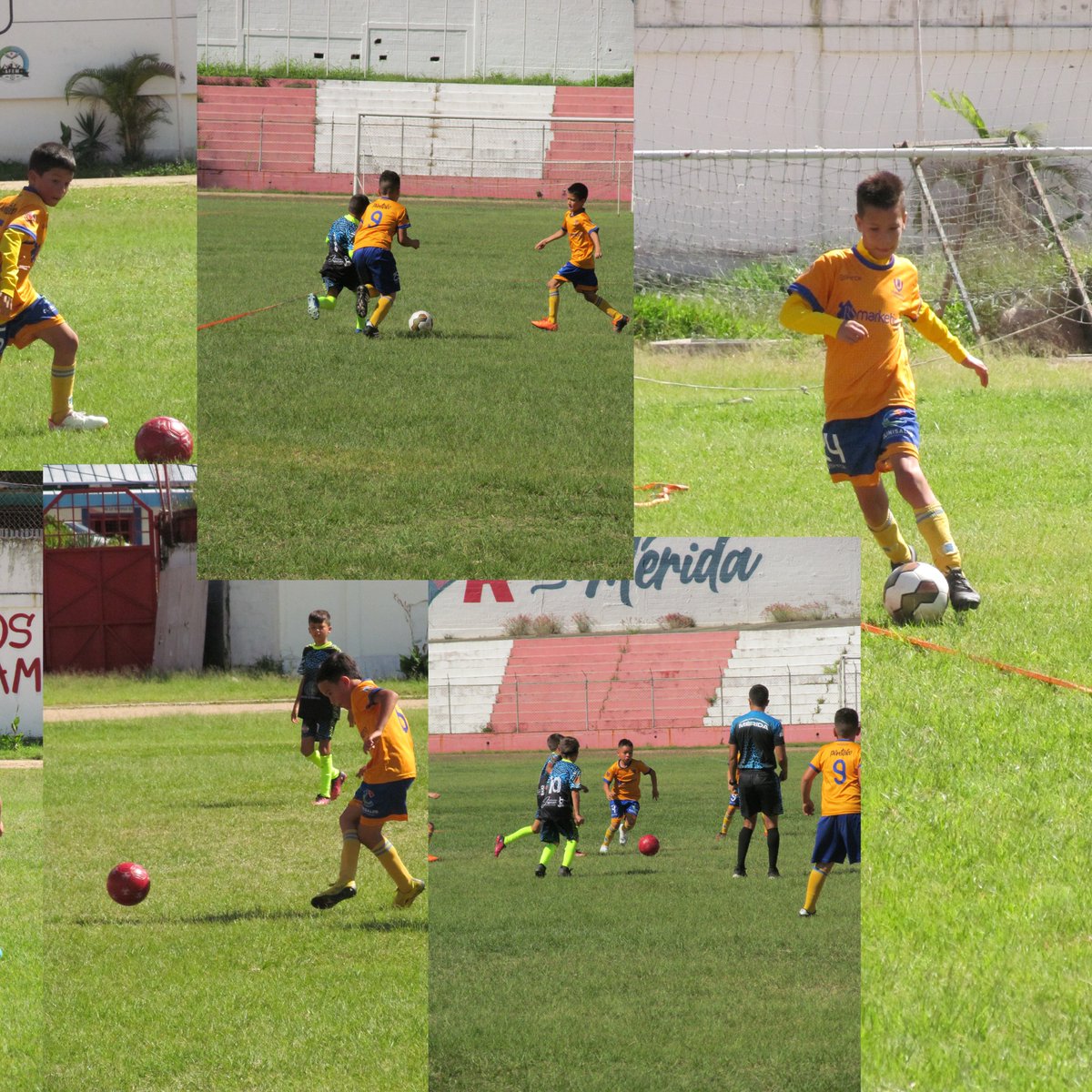 Universitarios Futbol Club tweet media