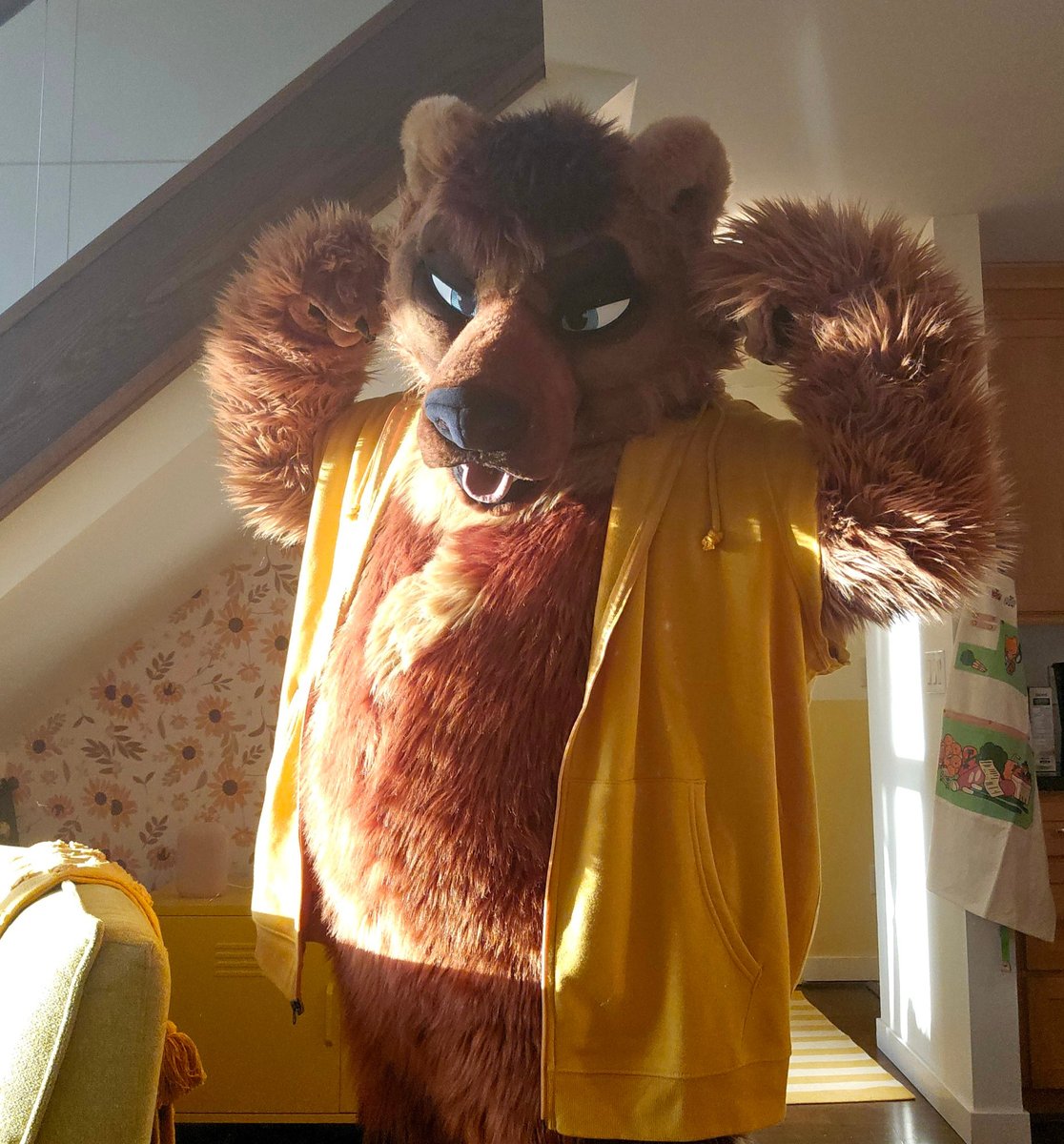 topherbearr's tweet image. helpp! a handsome bear broke into my house!