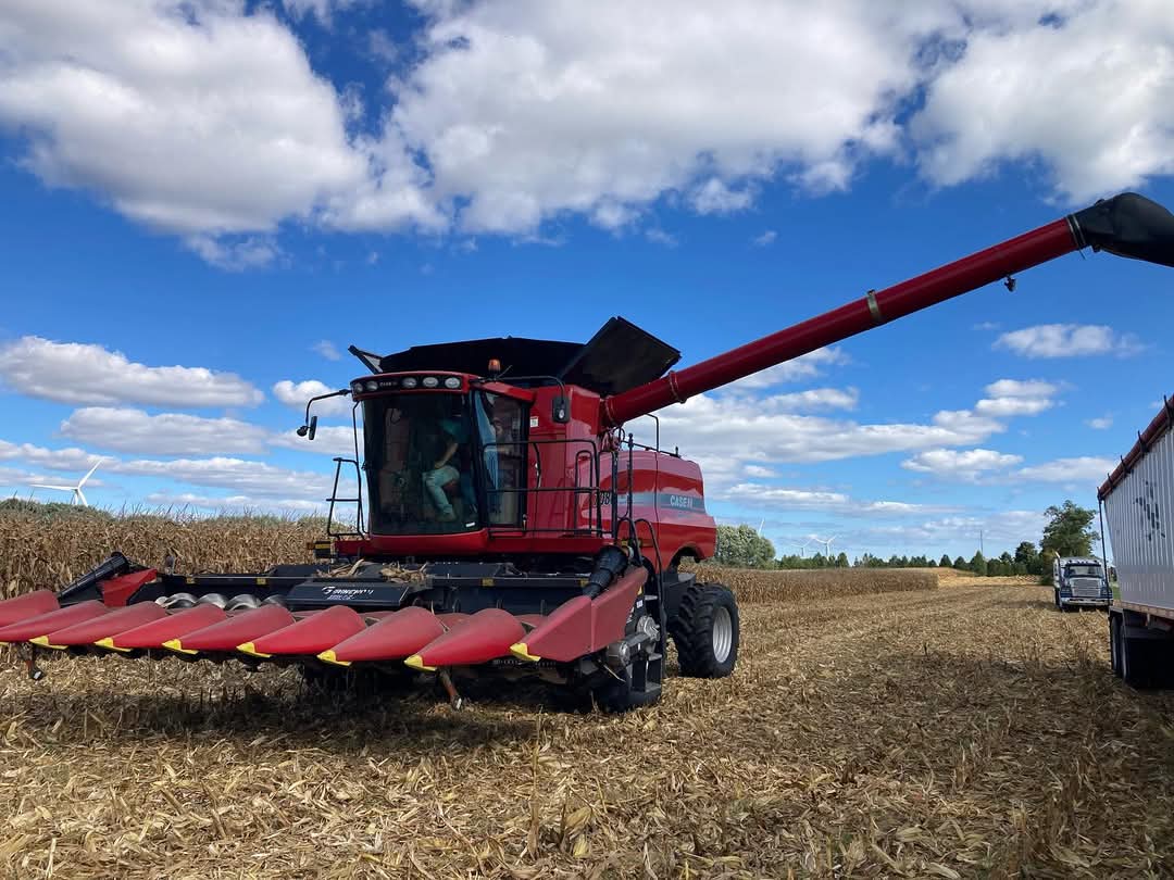 Mike Pasztor 🌽🌱🌾🐂🐷🥒🌶 tweet media