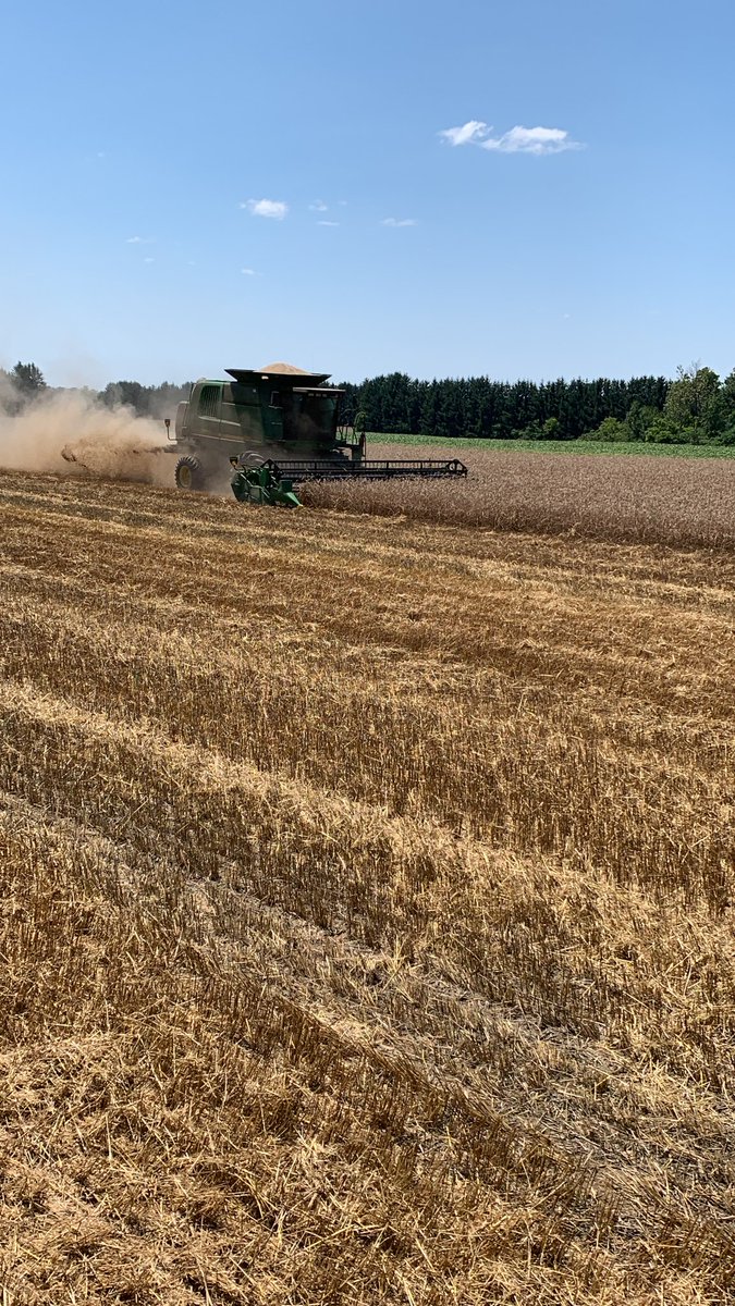 Mike Pasztor 🌽🌱🌾🐂🐷🥒🌶 tweet media