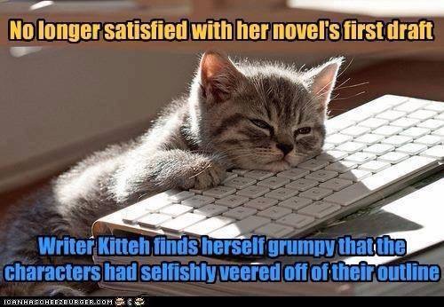 MarieRoseCreate's tweet image. Wait. #NaNoWriMo is over already?