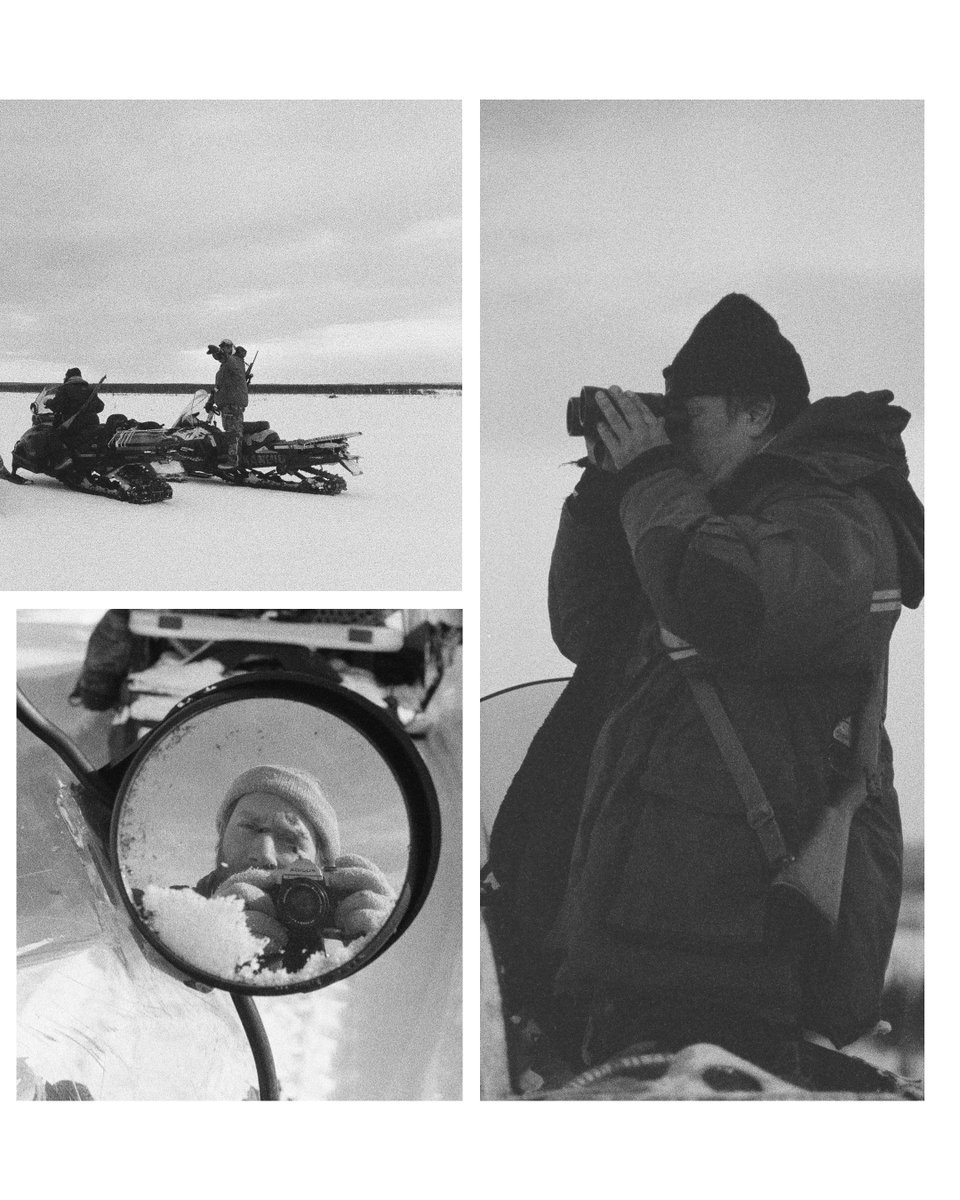 🎧🦌🌲 NOUVEAU DOCUMENTAIRE
𝑳𝒂 𝒄𝒉𝒂𝒔𝒔𝒆 𝒊𝒏𝒕𝒆𝒓𝒅𝒊𝒕𝒆 de Nicolas Lachapelle

Une expédition unique avec les Innus de la Basse-Côte-Nord, explorant une tradition millénaire menacée. 

🌐📱 Un récit immersif et poétique à écouter dès maintenant : tinyurl.com/4x6sfrwe