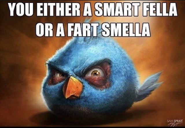 ᛏᛟᛗ tweet media