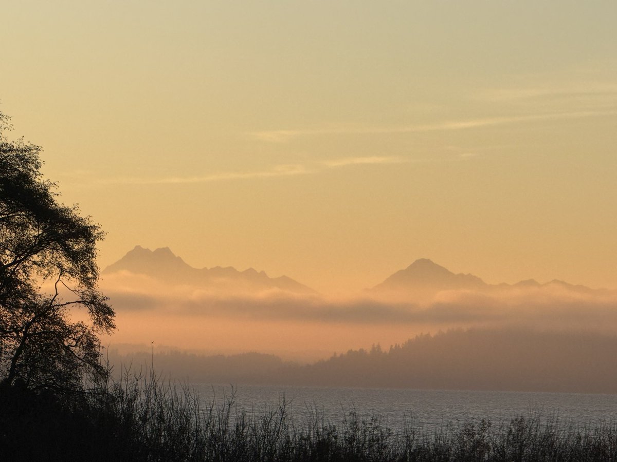 Wintry scene of the Olympics from #Edmonds <a href="/edmondsbeacon/">Edmonds Beacon</a>