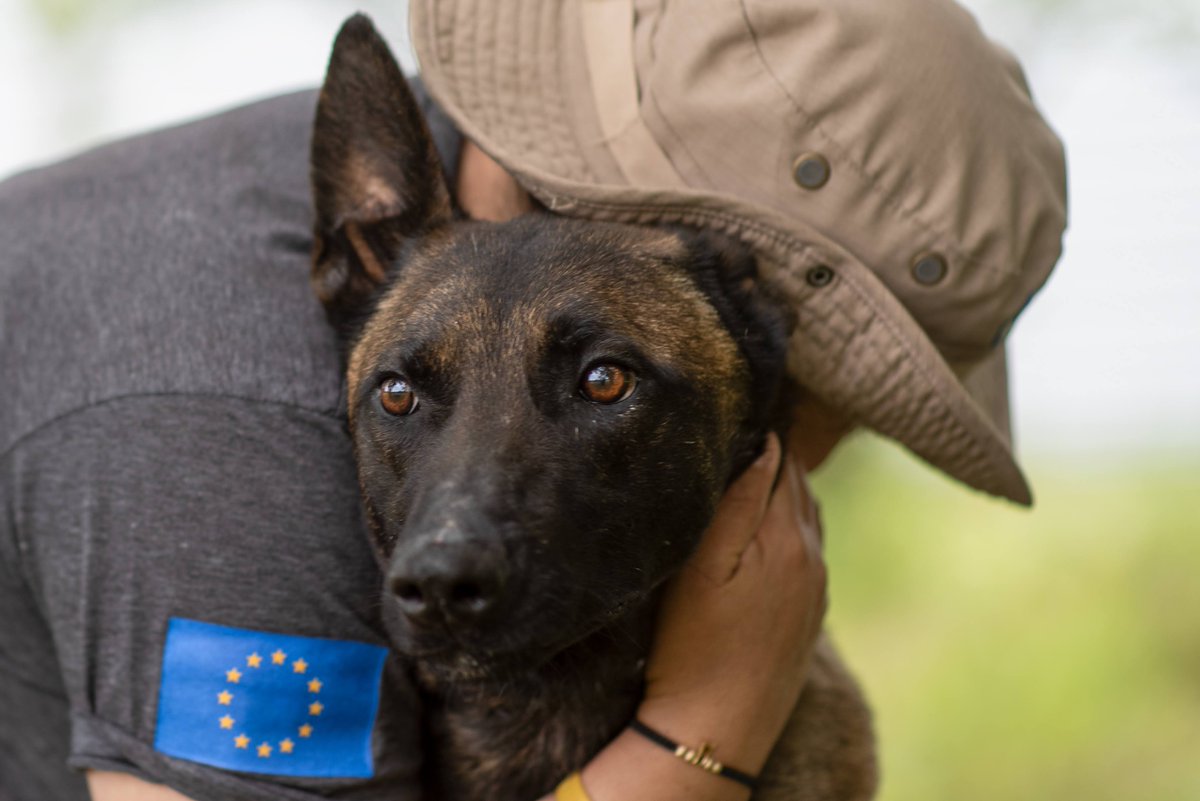 This is the final push! Only a few hours left and #GlobalGiving matching all donations made to #APOPO today. The more we raise today, the more we can deploy our animal teams worldwide to help people. 

Last chance: bit.ly/3OEuPZG

#UnleashGenerosity #HelpUsHelpThem