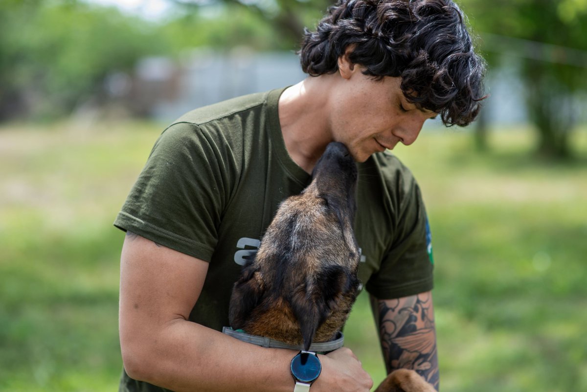 herorats's tweet photo. This is the final push! Only a few hours left and #GlobalGiving matching all donations made to #APOPO today. The more we raise today, the more we can deploy our animal teams worldwide to help people. 

Last chance: https://t.co/7K1t8bMNw3

#UnleashGenerosity #HelpUsHelpThem https://t.co/iXieBLJiiT
