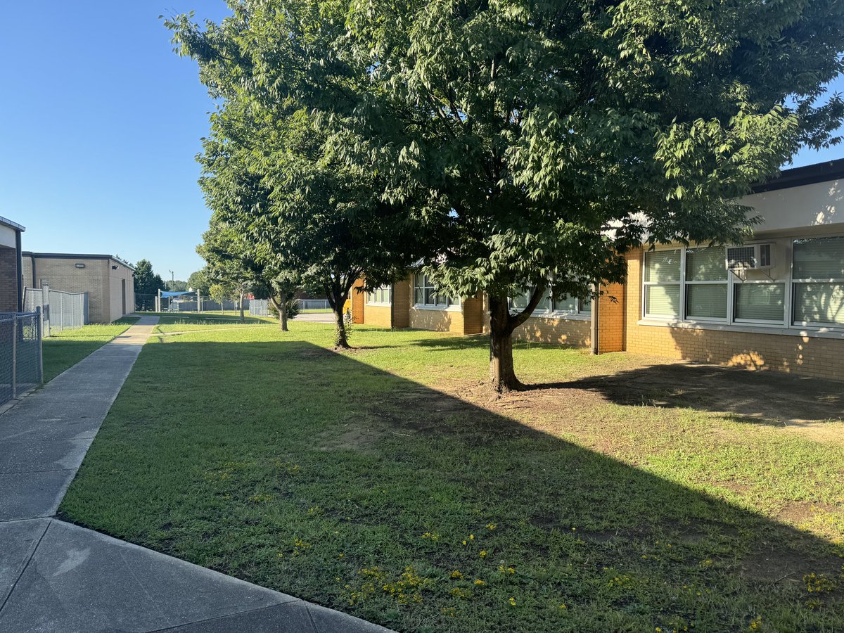 ๐น๐๐๐๐ ๐ฒ๐๐๐๐ tweet media