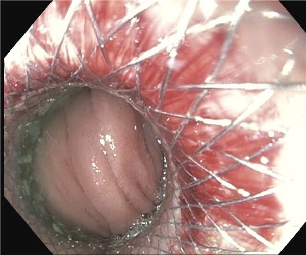 Vishnu Kumar tweet media