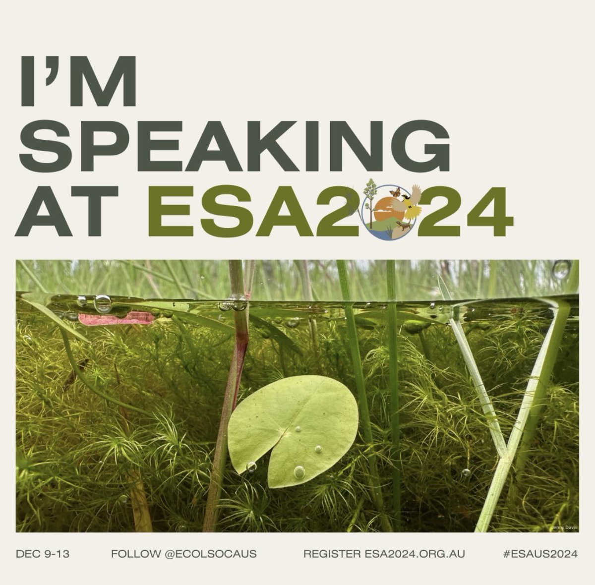 Next week I ✅ a personal milestone when I present at #ESA24, the annual conference for the Ecological Society of Australia. I’ll be speaking about #artificial #habitat and #design considerations when supporting insectivorous #bats  🗣️🦇 🏡 🌳  #hollows #urban #biodiversity