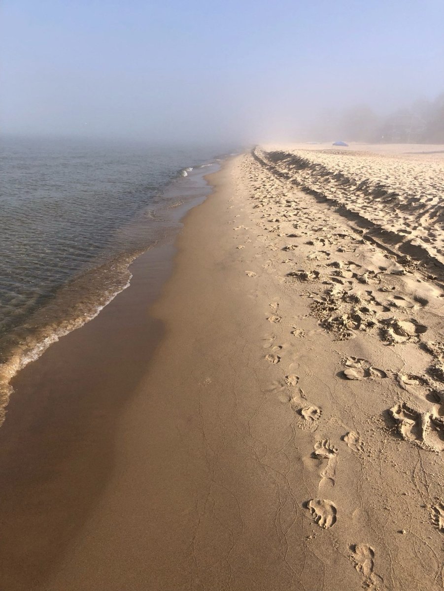 Pulse plans to begin moving to BlueSky! We share “The Foggy Way Forward”—a photograph symbolizing the excitement and mystery of navigating the journey ahead, just like ours. We hope you will join us on this journey as well! Our @ is pulsevoices.org on BlueSky but you can