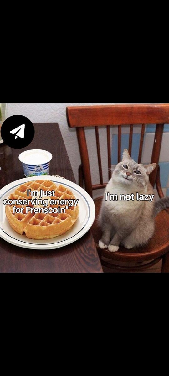 BachaHamouda1's tweet photo. The Final Round of the Memes Contest! 

GN, meme masters! The time has come — we’re heading into the final stretch! This is your chance to shine, amaze everyone, and become the ultimate star of our Memes Contest. 🌟

Let’s make this final round unforgettable together! 🚀
#MemesAI https://t.co/NlQyIhIaDn
