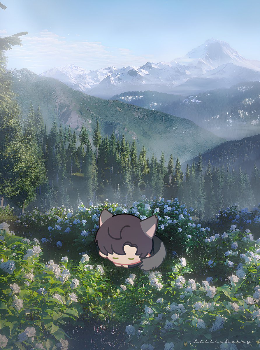 LittleBunnyCC's tweet photo. Flower fields ♥️🩵 https://t.co/OkwtEePlp3