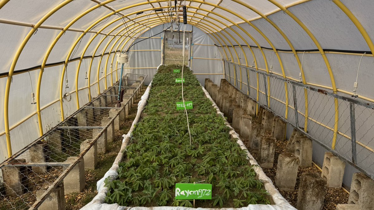 Jonathan Newby tweet media