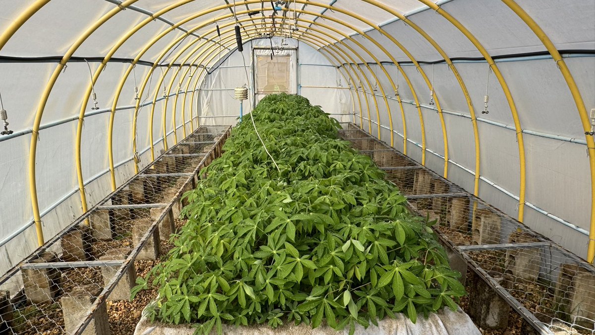 Jonathan Newby tweet media